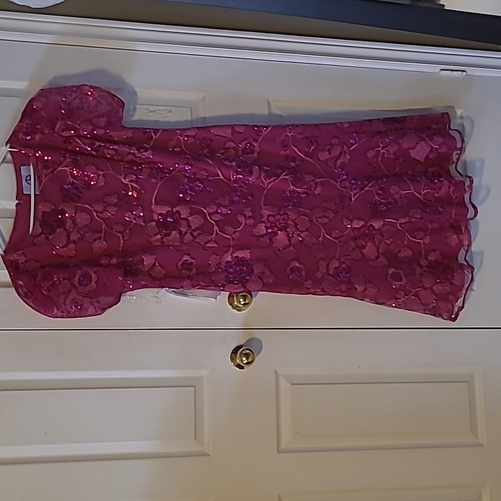 JS Collection New Dress - Picture 4 of 7